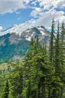 USA-Washington State-North Cascades National Park Art Print